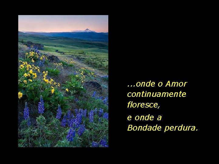 . . . onde o Amor continuamente floresce, e onde a Bondade perdura. 