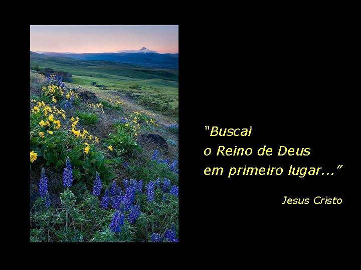 “Buscai o Reino de Deus em primeiro lugar. . . ” Jesus Cristo 