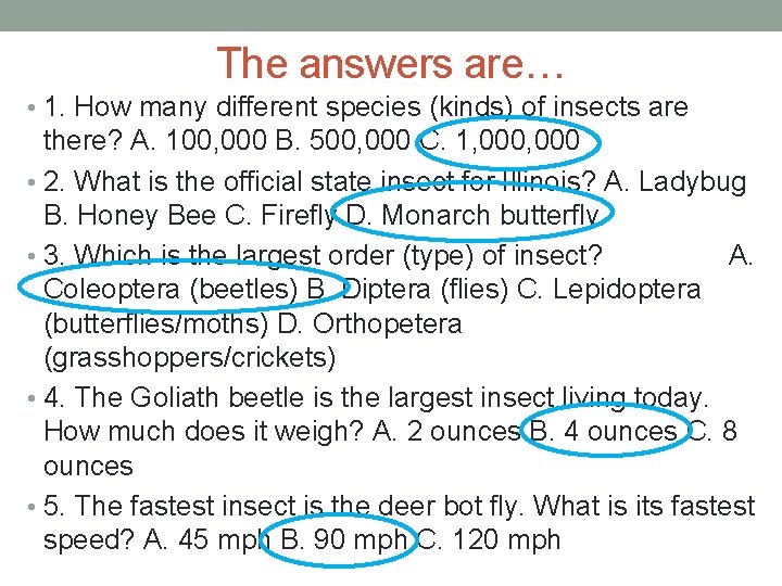 The answers are… • 1. How many different species (kinds) of insects are there?