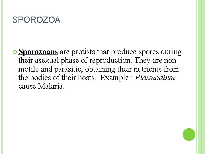 SPOROZOA Sporozoans are protists that produce spores during their asexual phase of reproduction. They