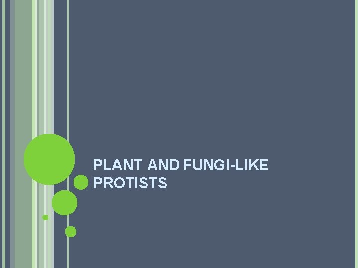 PLANT AND FUNGI-LIKE PROTISTS 
