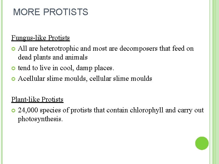 MORE PROTISTS Fungus-like Protists All are heterotrophic and most are decomposers that feed on