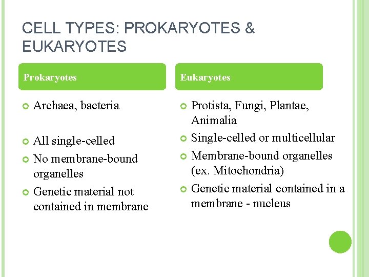 CELL TYPES: PROKARYOTES & EUKARYOTES Prokaryotes Archaea, bacteria All single-celled No membrane-bound organelles Genetic