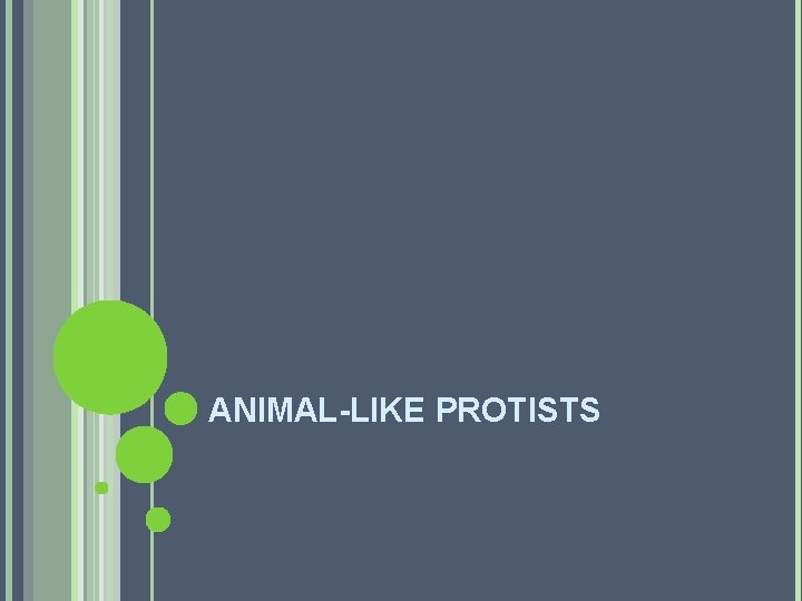 ANIMAL-LIKE PROTISTS 