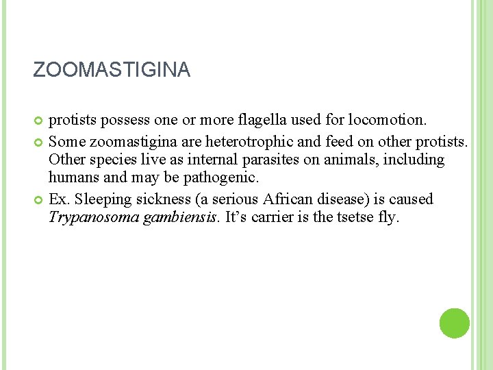 ZOOMASTIGINA protists possess one or more flagella used for locomotion. Some zoomastigina are heterotrophic