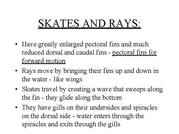 SKATES AND RAYS: • Have greatly enlarged pectoral fins and much reduced dorsal and