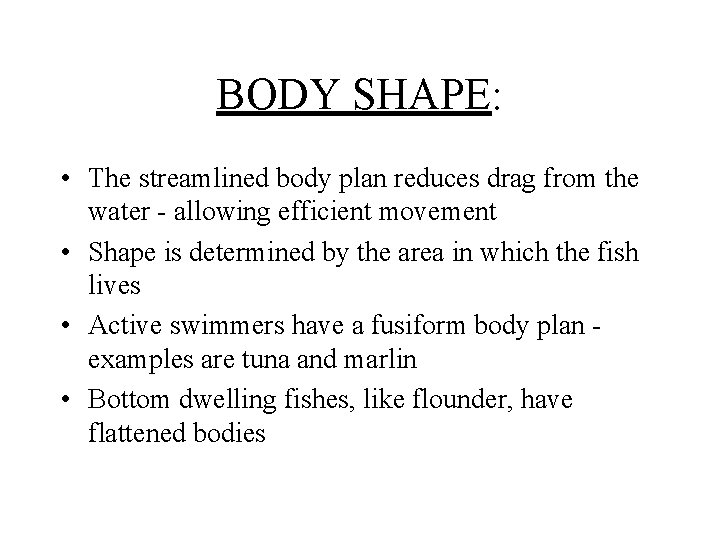 BODY SHAPE: • The streamlined body plan reduces drag from the water - allowing