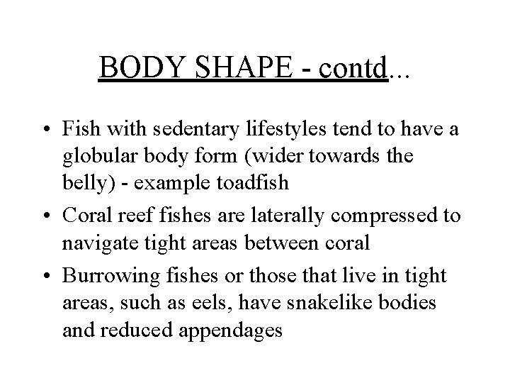 BODY SHAPE - contd. . . • Fish with sedentary lifestyles tend to have