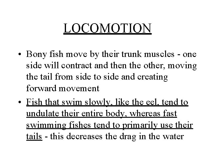 LOCOMOTION • Bony fish move by their trunk muscles - one side will contract