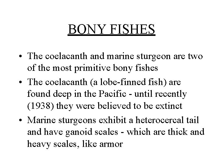 BONY FISHES • The coelacanth and marine sturgeon are two of the most primitive