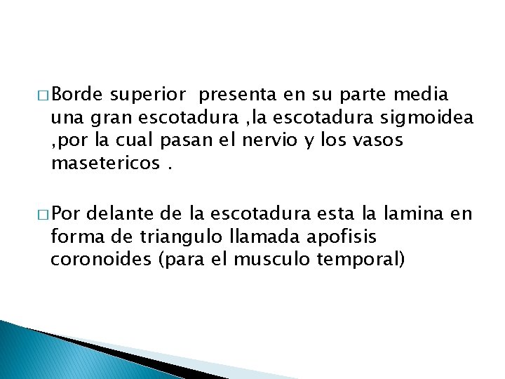 � Borde superior presenta en su parte media una gran escotadura , la escotadura