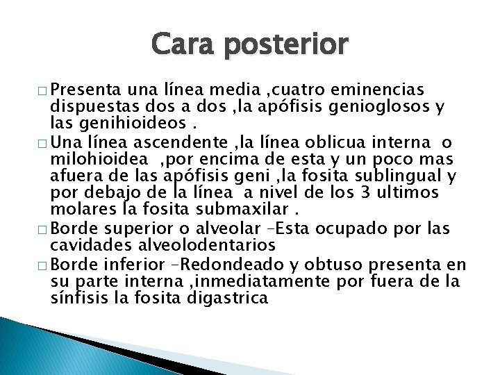 Cara posterior � Presenta una línea media , cuatro eminencias dispuestas dos a dos