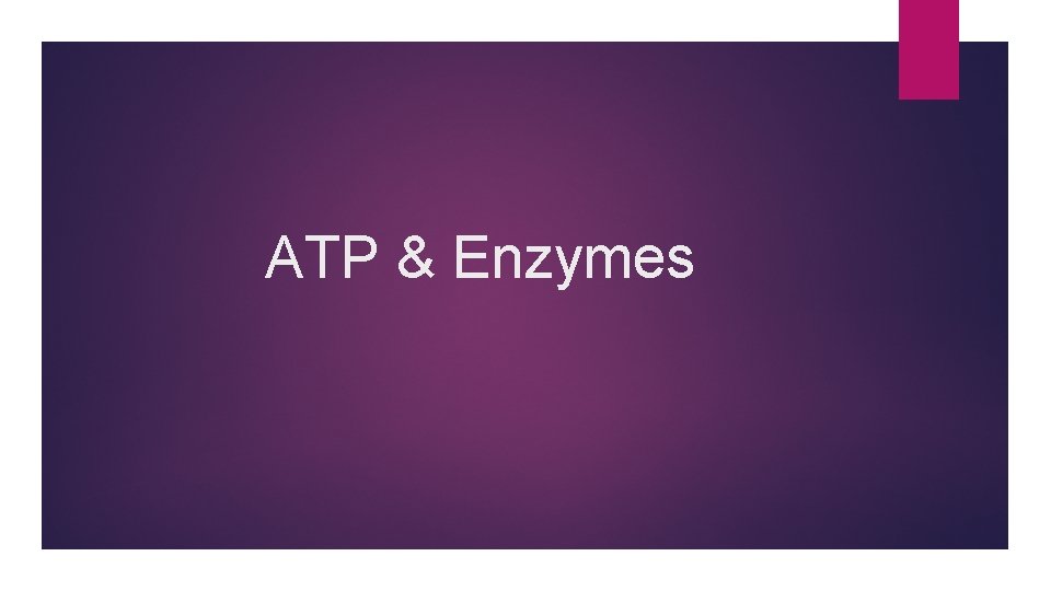 ATP & Enzymes 