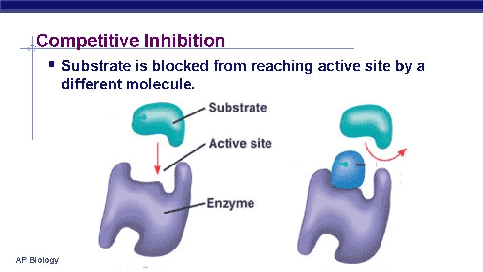 Competitive Inhibition § Substrate is blocked from reaching active site by a different molecule.