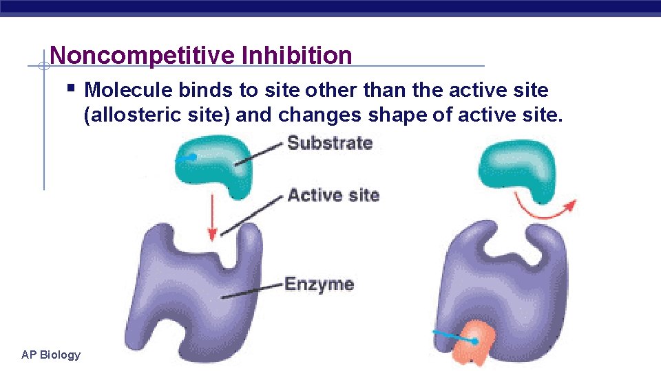 Noncompetitive Inhibition § Molecule binds to site other than the active site (allosteric site)