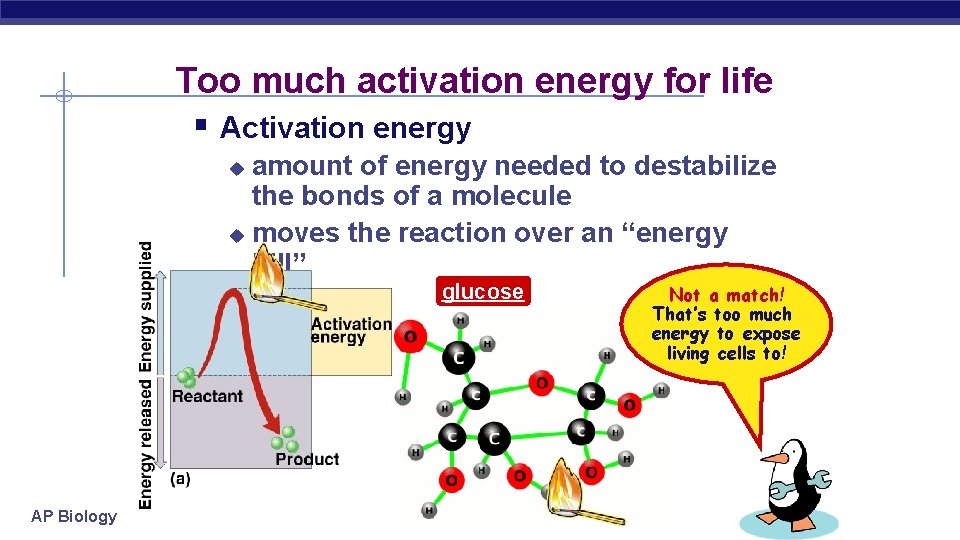 Too much activation energy for life § Activation energy amount of energy needed to