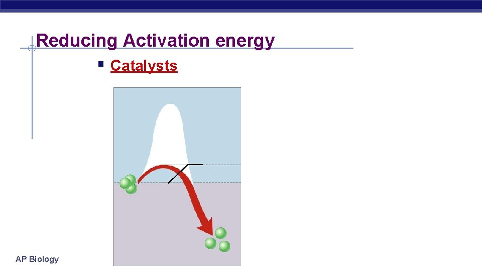 Reducing Activation energy § Catalysts AP Biology 