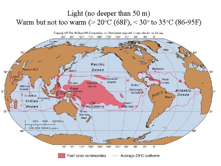 Light (no deeper than 50 m) Warm but not too warm (> 20 o.