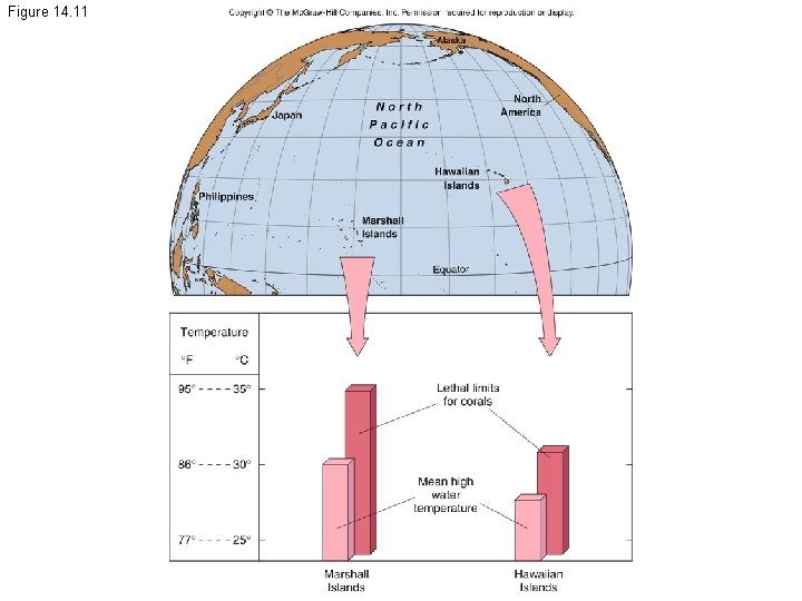 Figure 14. 11 