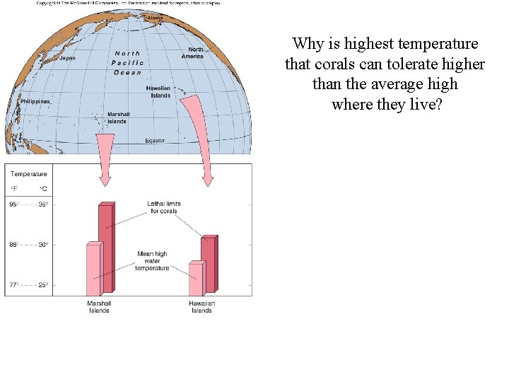 Why is highest temperature that corals can tolerate higher than the average high where