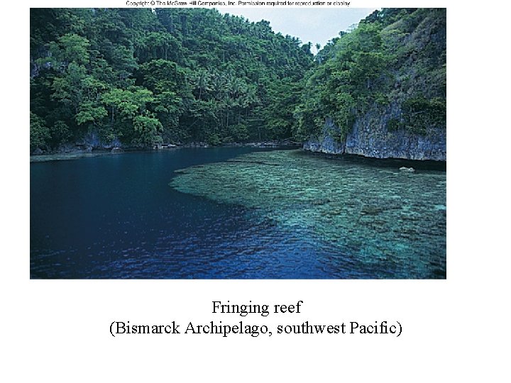 Fringing reef (Bismarck Archipelago, southwest Pacific) 
