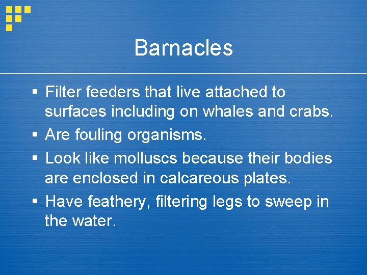 Barnacles § Filter feeders that live attached to surfaces including on whales and crabs.