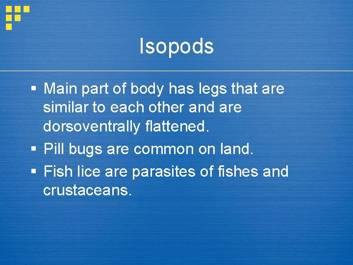 Isopods § Main part of body has legs that are similar to each other