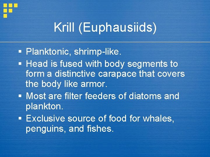Krill (Euphausiids) § Planktonic, shrimp-like. § Head is fused with body segments to form