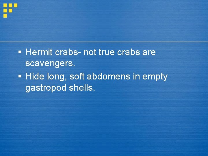 § Hermit crabs- not true crabs are scavengers. § Hide long, soft abdomens in