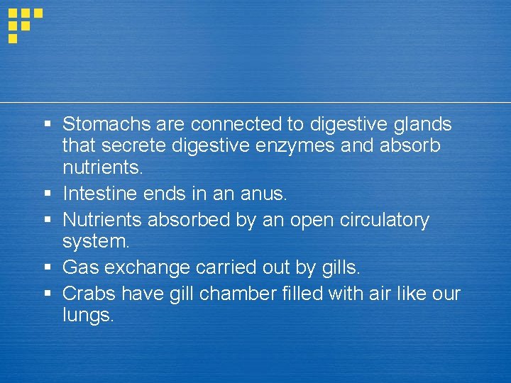 § Stomachs are connected to digestive glands that secrete digestive enzymes and absorb nutrients.