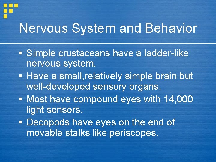 Nervous System and Behavior § Simple crustaceans have a ladder-like nervous system. § Have