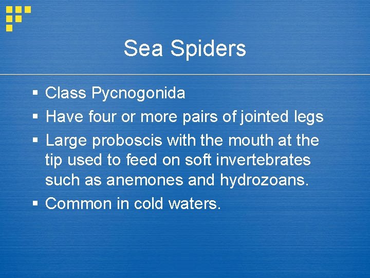 Sea Spiders § Class Pycnogonida § Have four or more pairs of jointed legs
