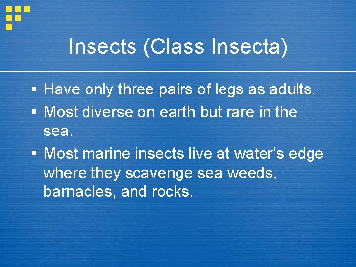 Insects (Class Insecta) § Have only three pairs of legs as adults. § Most