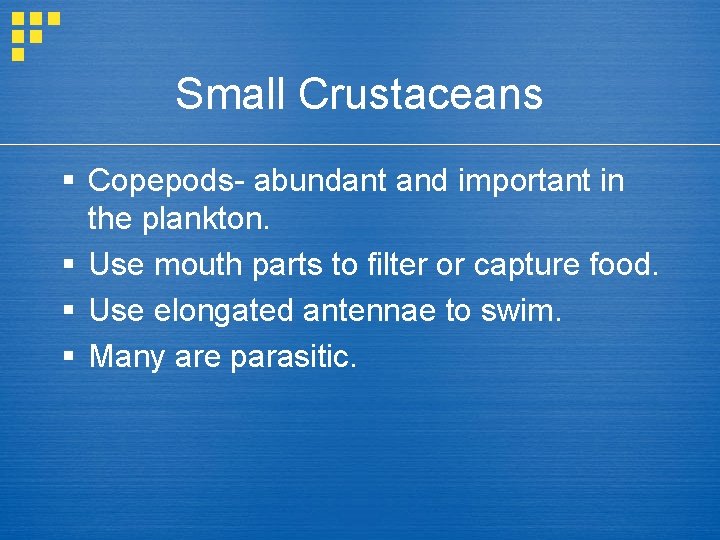 Small Crustaceans § Copepods- abundant and important in the plankton. § Use mouth parts