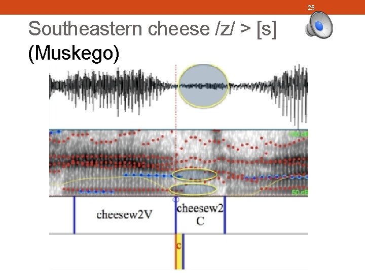 25 Southeastern cheese /z/ > [s] (Muskego) 