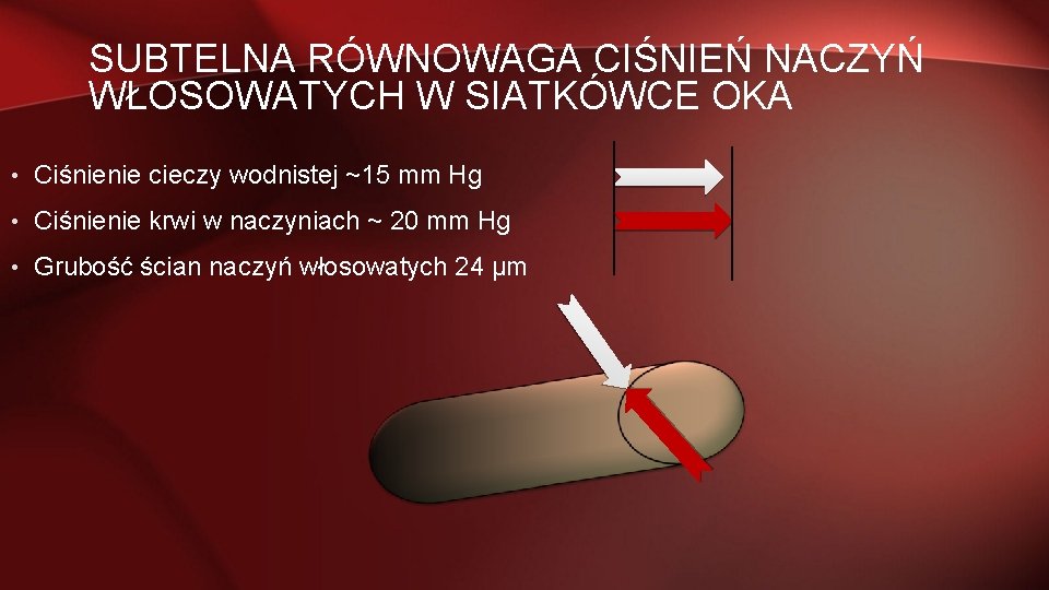 SUBTELNA RÓWNOWAGA CIŚNIEŃ NACZYŃ WŁOSOWATYCH W SIATKÓWCE OKA • Ciśnienie cieczy wodnistej ~15 mm