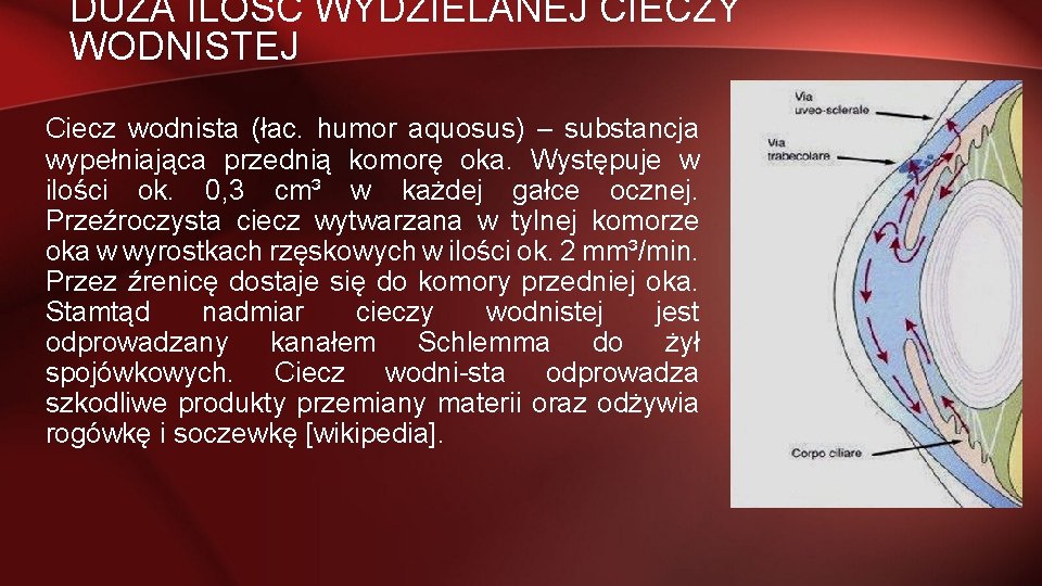 DUŻA ILOŚĆ WYDZIELANEJ CIECZY WODNISTEJ Ciecz wodnista (łac. humor aquosus) – substancja wypełniająca przednią