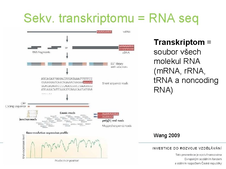 Sekv. transkriptomu = RNA seq Transkriptom = soubor všech molekul RNA (m. RNA, r.