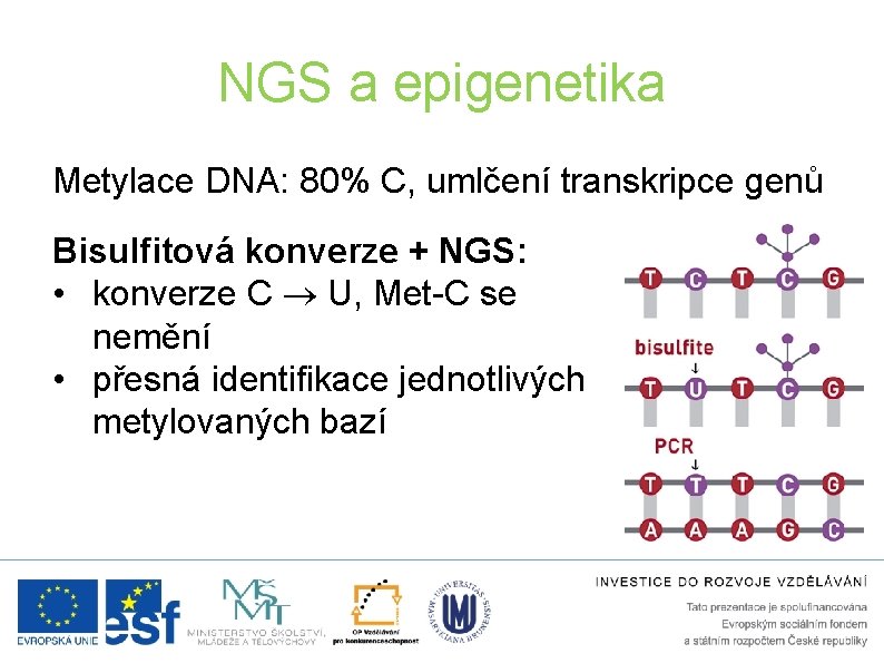 NGS a epigenetika Metylace DNA: 80% C, umlčení transkripce genů Bisulfitová konverze + NGS: