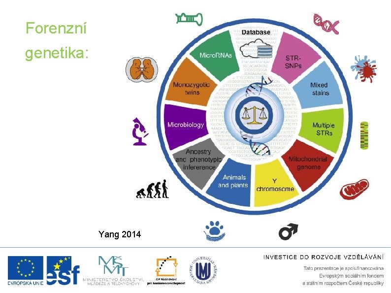 Forenzní genetika: Yang 2014 