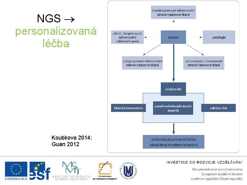 NGS personalizovaná léčba Koubkova 2014; Guan 2012 