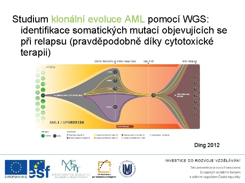 Studium klonální evoluce AML pomocí WGS: identifikace somatických mutací objevujících se při relapsu (pravděpodobně