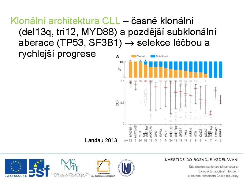 Klonální architektura CLL – časné klonální (del 13 q, tri 12, MYD 88) a