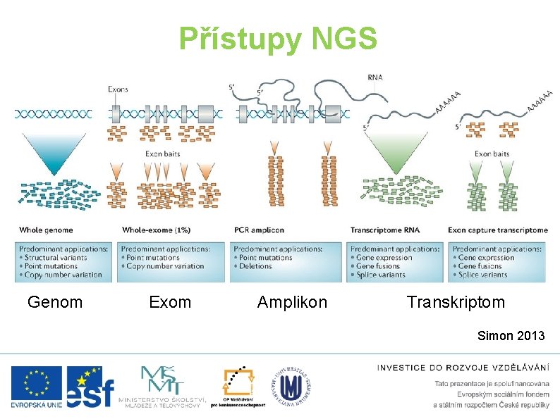 Přístupy NGS Genom Exom Amplikon Transkriptom Simon 2013 