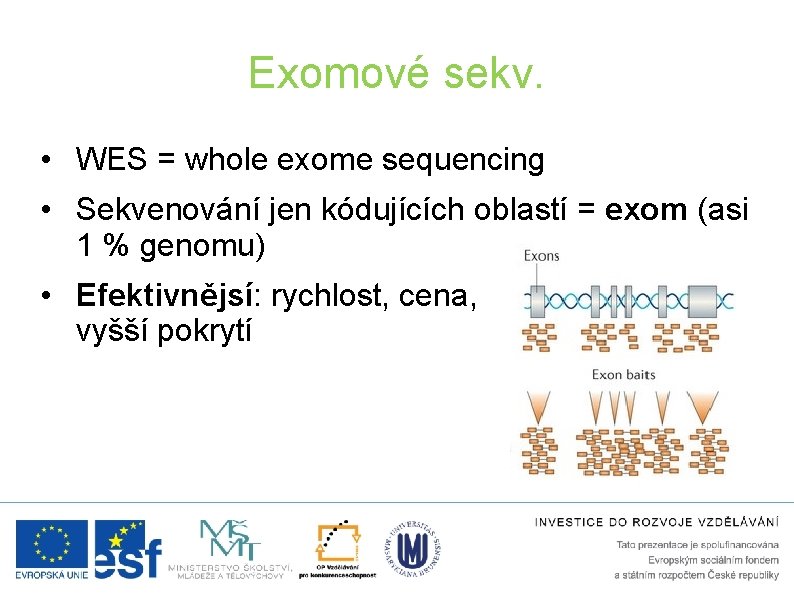 Exomové sekv. • WES = whole exome sequencing • Sekvenování jen kódujících oblastí =