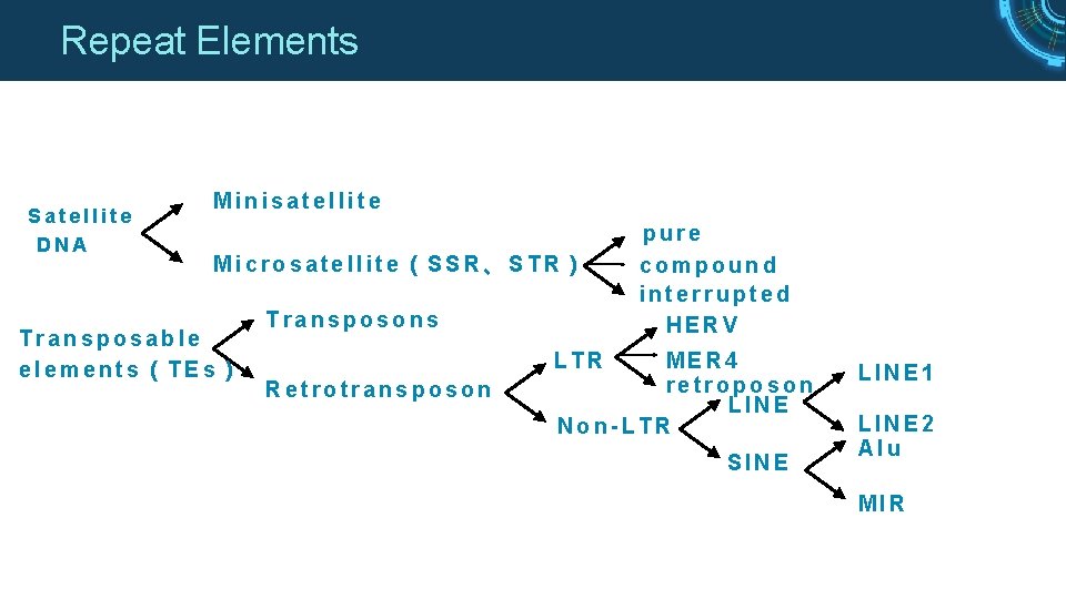 Repeat Elements Satellite DNA Minisatellite Microsatellite（SSR、STR） Transposable elements（TEs） Transposons pure compound interrupted HERV LTR