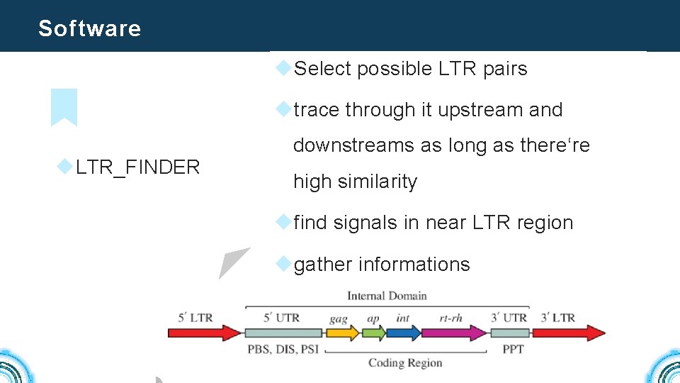 Software u. Select possible LTR pairs utrace through it upstream and u. LTR_FINDER downstreams