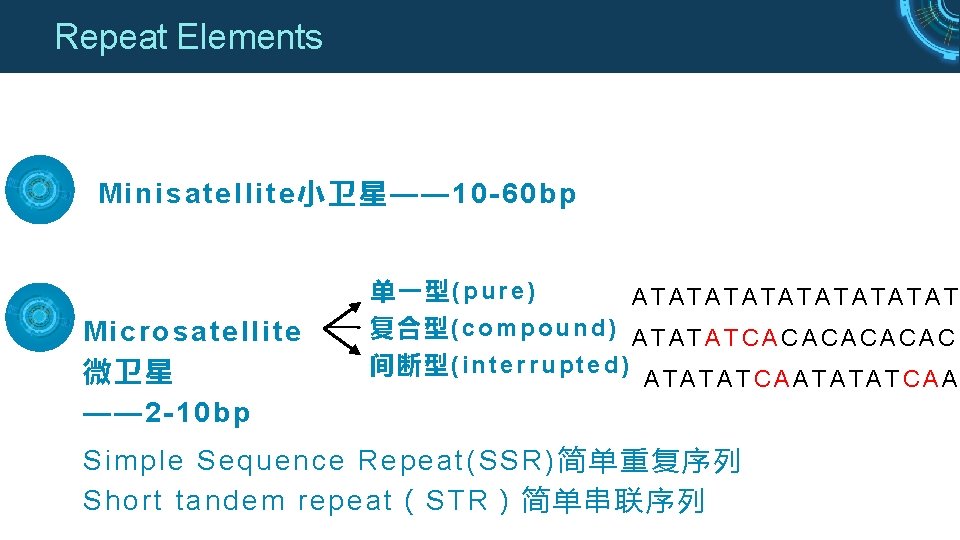 Repeat Elements Minisatellite小卫星—— 10 -60 bp 单一型(pure) Microsatellite 微卫星 —— 2 -10 bp ATATATATAT