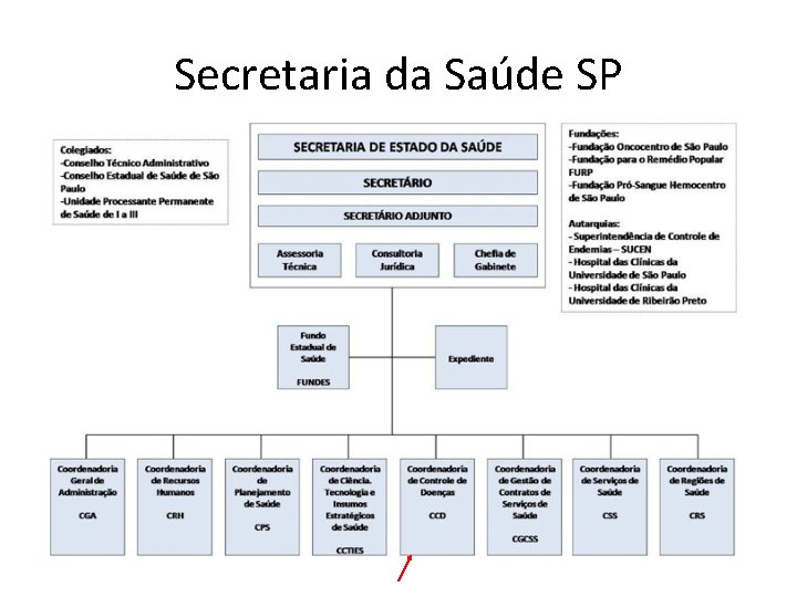 Secretaria da Saúde SP 