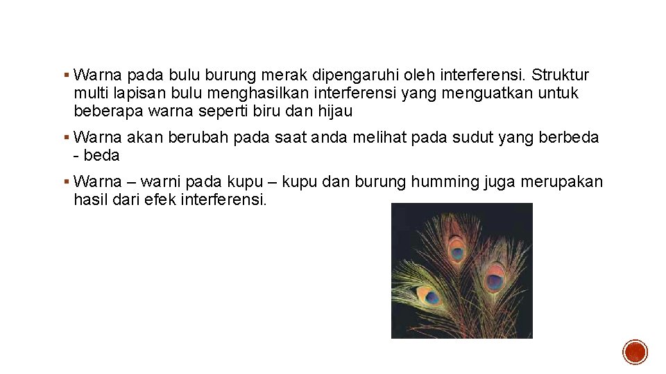 Bulu Burung Merak § Warna pada bulu burung merak dipengaruhi oleh interferensi. Struktur multi